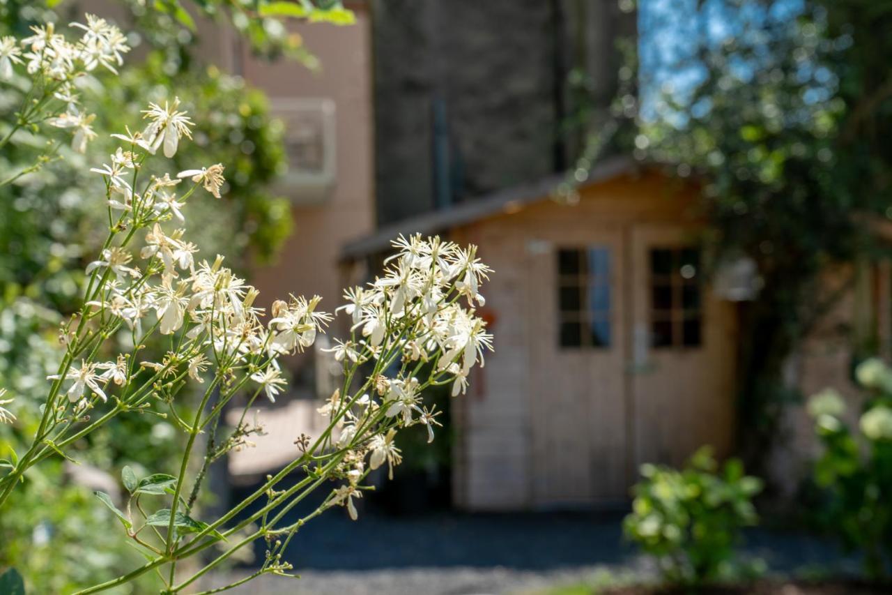 B&B La Chicca Brenzone sul Garda Eksteriør bilde
